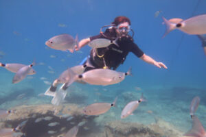 Fethiye Tüplü Dalış