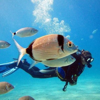 Fethiye Tüplü Dalış 