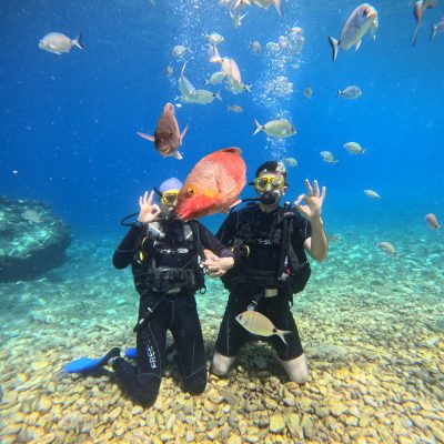 Fethiye Tüplü Dalış 